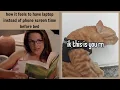 Funny Pic Dump One Minute of Memes Zero Regrets