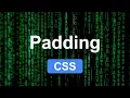 Padding Property in CSS