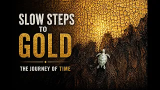 The Turtle Reaches Gold | A Story of Patience and Time (UROI 귀보금란)