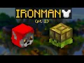 Ironman Full Pets Guide pt 1 Hypixel Skyblock