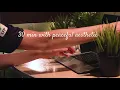 Study with me and turtle | 30 min | Fores app | No breaks, only good music