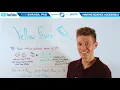 How the Yellow Fever Vaccine YF-Vax Works