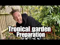 Lagu M dot R TROPICAL GARDEN PREPARATION!