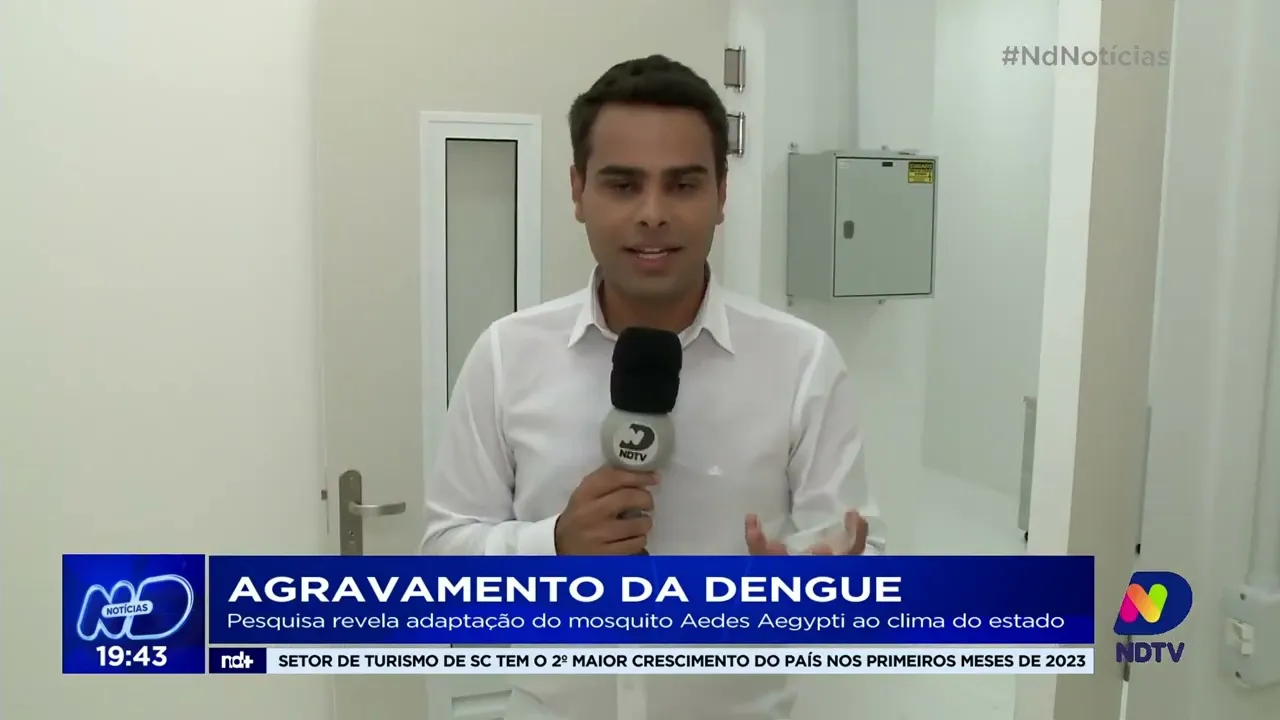 Pesquisa revela adaptação do mosquito Aedes aegypti ao clima de SC