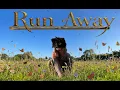 Run Away Short Therian Film for Alterhumans Otherpaws Otherhearts Otherkins therians and more