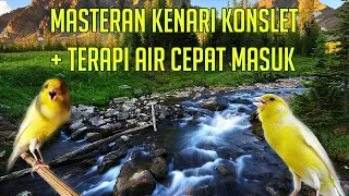 Download Masteran Kenari Konslet plus Terapi Air Cepat Masuk MP3