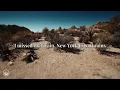 Young the Giant - Mind Over Matter (Reprise) | (lyrics)
