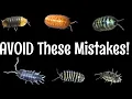 10 Isopod MISTAKES to Avoid