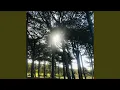 Download Lagu Houd de zon vast