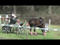 Concours d attelage de Lapalisse - Marathon 19-04-2015
