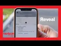 What Can Reveal Do for You Verizon Connect