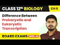 Difference Between Prokaryotic and Eukaryotic Transcription - Molecular Basis of Inheritance
