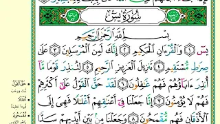 سورة يس مع الكتابه لمدة ٧ دقائق دندنها