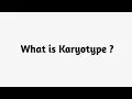 What is Karyotype