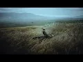Post Malone - Only the Rain Knows Emotional Trap