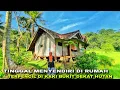 Lagu NENEK TANGGUH.TINGGAL MENYENDIRI DI RUMAH TERPENCIL DI KAKI BUKIT DEKAT HUTAN