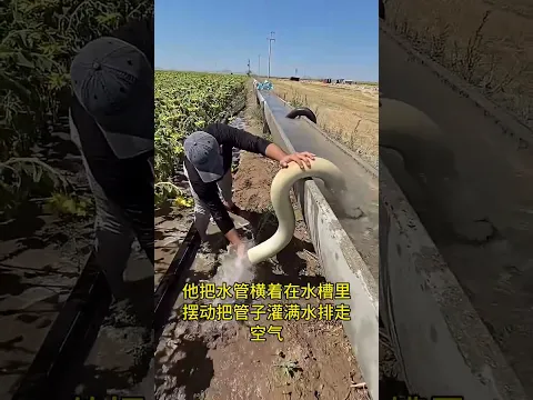 田野裡的水槽m
