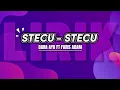 Download Lagu LIRIK STECU-STECU - Dara Ayu Ft Faris Adam  | Kalo Abang Suka, Jang Buang Muka
