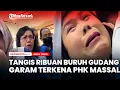 Download Lagu Viral! Tangis dan Haru Ribuan Buruh Gudang Garam Terkena PHK Massal