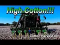 21 High Cotton