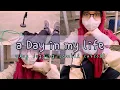 Download Lagu a day in my life 🌞 ^^ vlog jogging sambil curcol | Khanza Amara 🌸