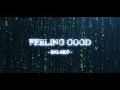 Feeling Good ( Nina Simone ) - Salako Official Video