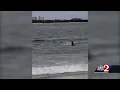 Why New Smyrna Beach has so many shark attacks