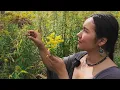 Download Lagu You’ll Fall Asleep So Fast…Endlessly Harvesting \u0026 Rambling About Medicinal Plants (ASMR)