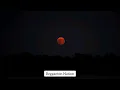 Sech, Kapo - CUÁL NOSOTROS (Letra/Lyrics)
