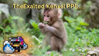 The Exalted Kensei PPE ROTMG