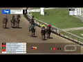 Gulfstream Park February 21 2026 Race 3
