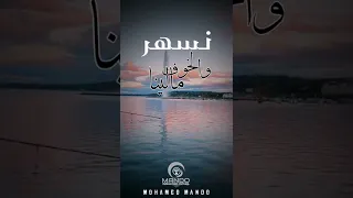 مكتوب يا ليل علينا جورج وسوف تصويري مونتاجي حالات واتساب للعشاق انستقرام تيك توك اجمل حالات 
