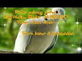 Download Lagu Suara Puter Pelung Kwok#NatizaBfBader#semogaBerkah