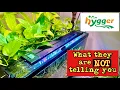 Hygger HG-957 Aquarium Light review - and What Nobody is Talking About