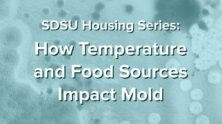 How Temperature and Food Sources Impact Mold - SDSU Housing Series Part 2
