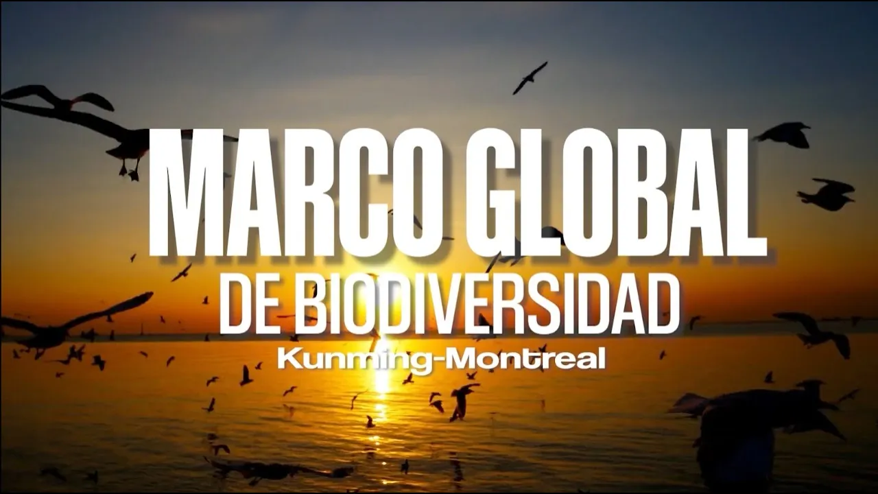 Marco Global de Biodiversidad Kunming-Montreal