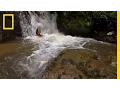 Interview Mireya Mayor National Geographic