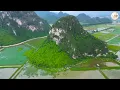 Download Lagu The World's Best Classical Instrumental Music, Relaxing Guitar Music Eliminates Stress