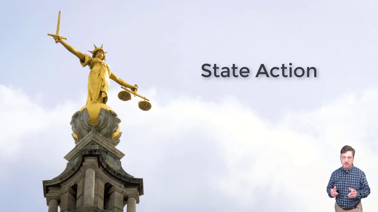 Constitutional Law: State Action: Introduction