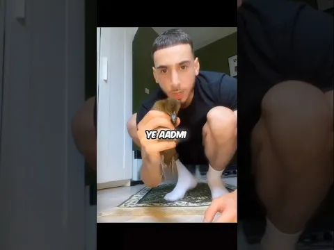 THE HEARTBREAKING REASON THIS DUCK WAITS BY THE DOOR