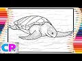 Sea Turtle Coloring Turtle - Summersong 2018 NCS Release