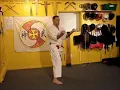 Download Lagu Niseishi  de l'école Chito ryu