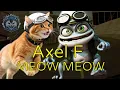 Download Lagu Crazy Frog - Axel F (MEOW MEOW)