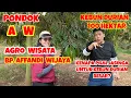 Download Lagu Pondok AW (Agro Wisata).Diskusi dgn Bp Affandi Wijaya (AW).Mengapa Durian di Jasinga sampai 100 ha?