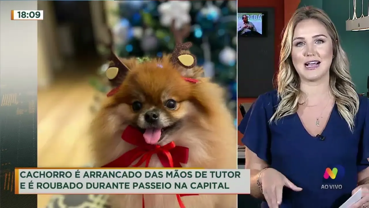 Na mesma semana, cão é roubado do dono e duas cachorrinhas são esquecidas dentro do carro