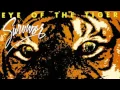 Download Lagu Survivor - Eye of the Tiger [Instrumental]