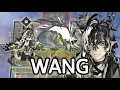Why you have to pull for Wang Arknights