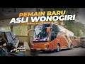 Download Lagu Rp 230.000 FULL SERVICE !! 😍 PEMAIN BARU YANG JOSSS | Trip Bus SJM (Sumber Jaya Makmur)