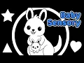 High Contrast Baby Sensory for Newborns Gentle Animal Shapes for Visual Focus
