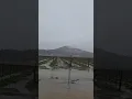 BOMB CYCLONE - NAPA VALLEY